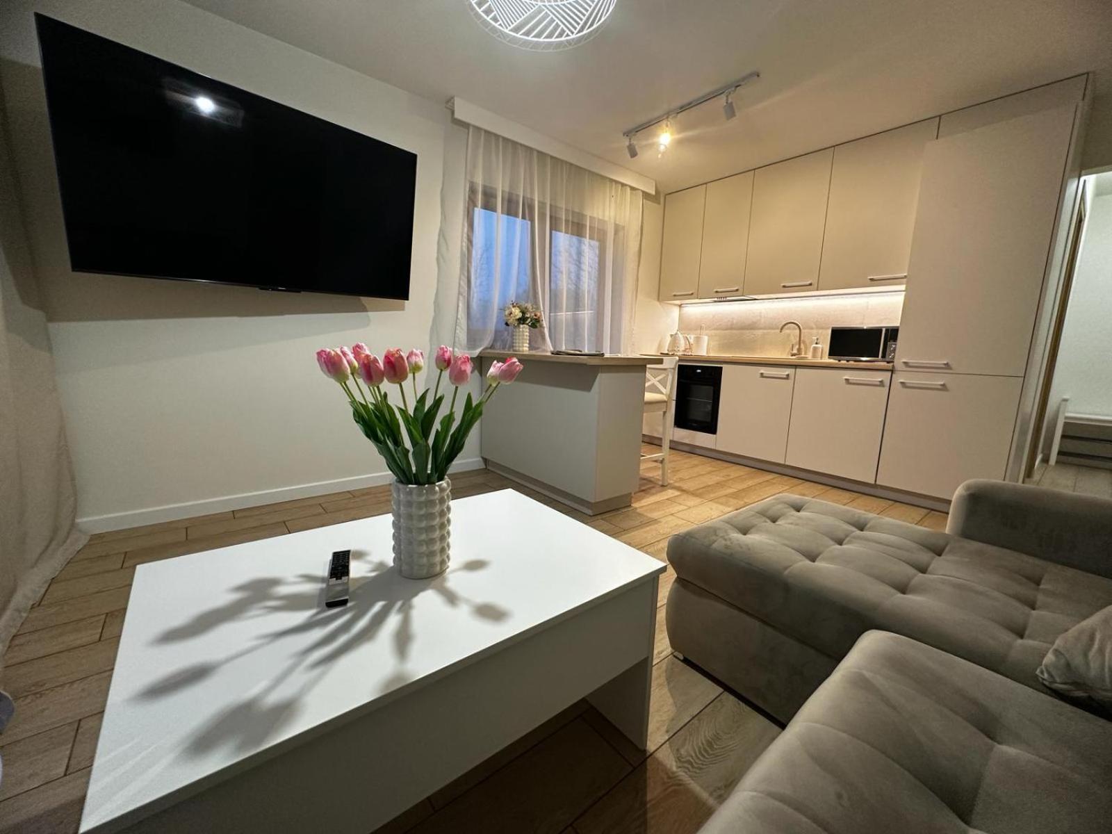 Apartamenty Biala Gran Zakopane Dış mekan fotoğraf